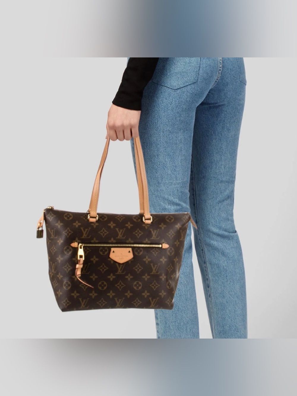 Louis Vuitton Monogram Lena Pm